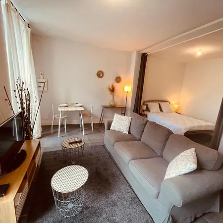L'Albuconis 1 Grand Studio Aubusson  Exterior foto