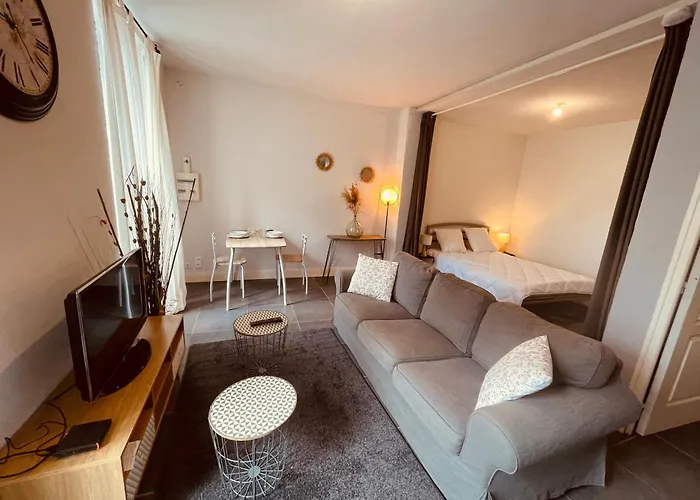 L\'Albuconis 1 Grand Studio